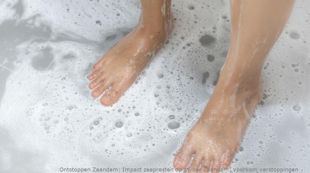Impact zeepresten op afvoer Zaandam: voorkom verstoppingen