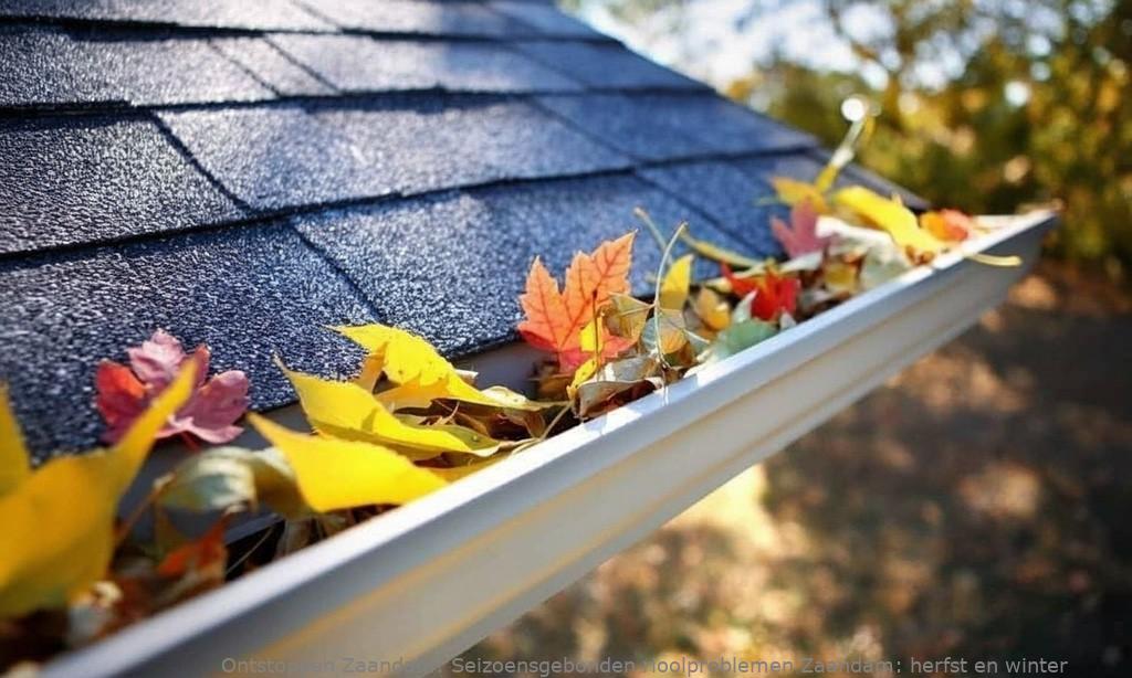 Seizoensgebonden rioolproblemen Zaandam: herfst en winter