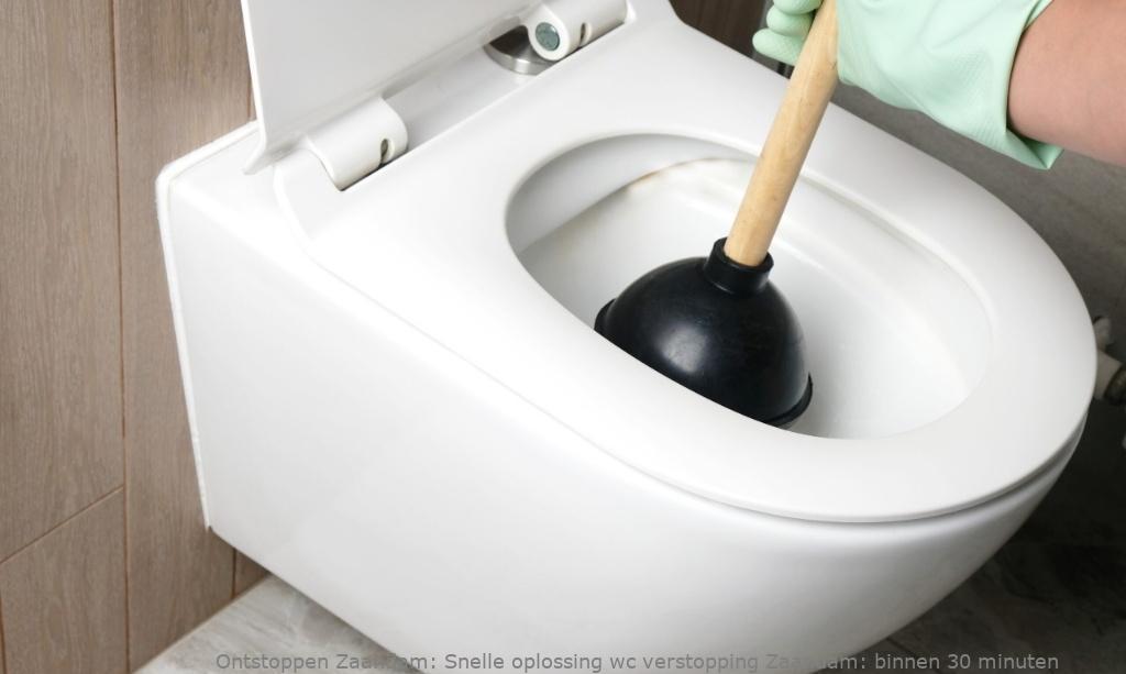 Snelle oplossing wc verstopping Zaandam: binnen 30 minuten
